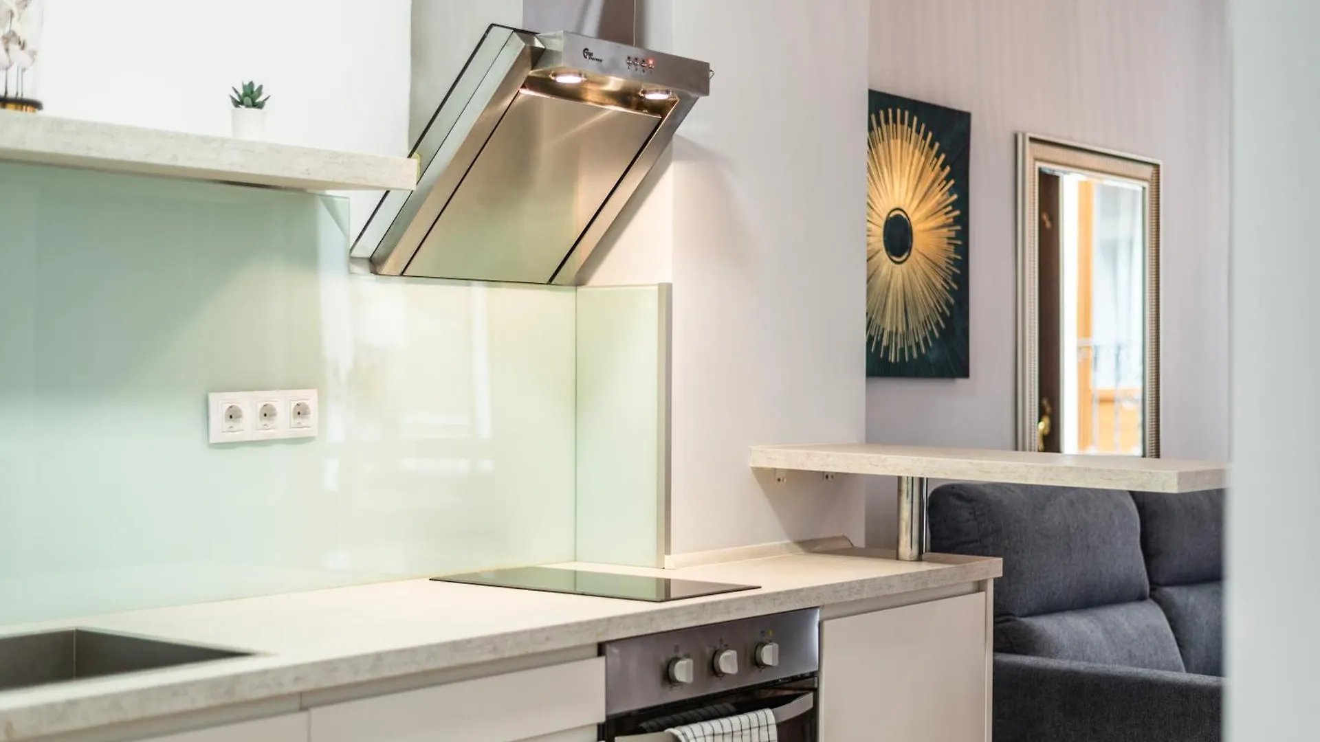 Tuguest Concepcion Apartment 그라나다